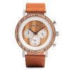 Brown Watch